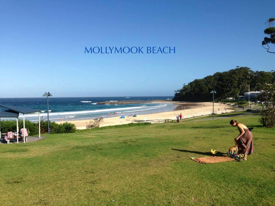 Beach House Mollymook Motell Exteriör bild